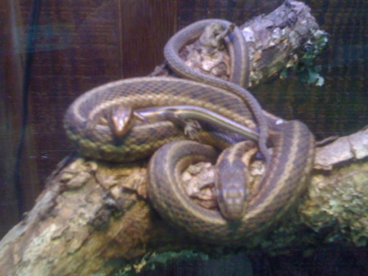 Moyock, NC Map & Directions MapQuest