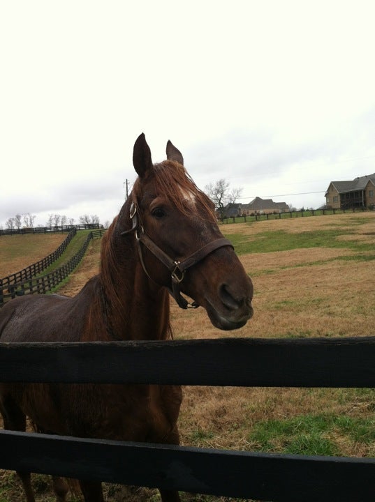 Midway, KY Map & Directions MapQuest