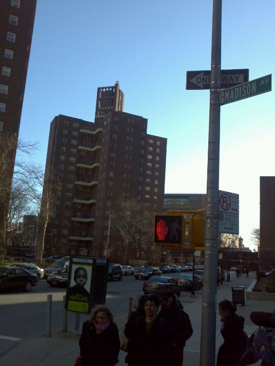 NYCHA Carver Houses 65 E 99th St New York NY Housing Developers 