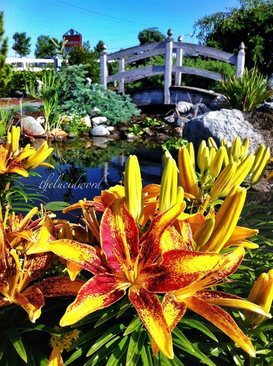 Gertens, 5295 Blaine Ave, Inver Grove Heights, MN, Garden Centers