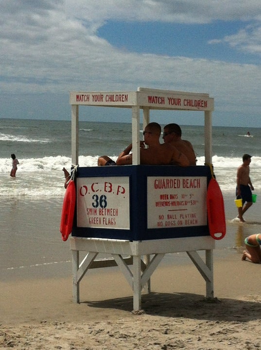Can Dogs Go On The Beach In Ocean City