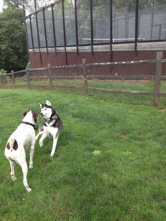 Spencer's Run Dog Park at Waveny Park, 677 South Ave, New Canaan, CT