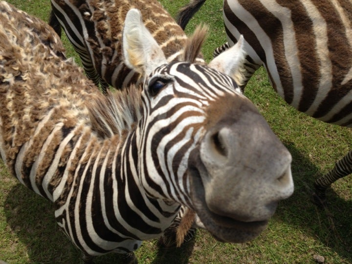 Loranger, LA Map & Directions MapQuest