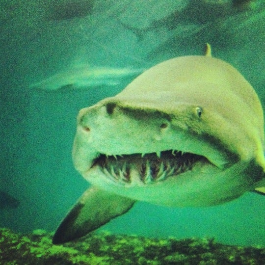 Manns Harbor, NC Map & Directions MapQuest