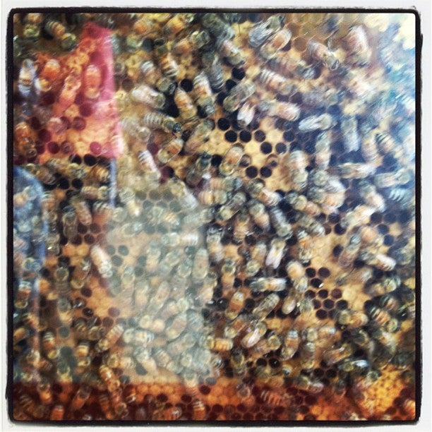 Houghton, IA Map & Directions MapQuest