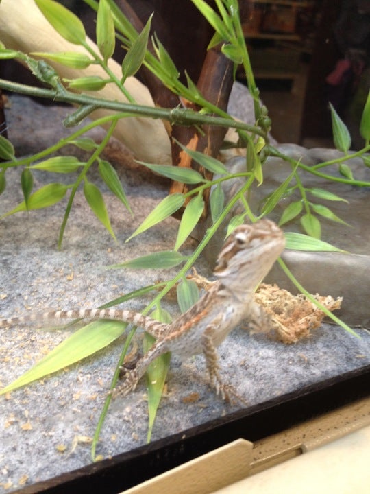 Petsmart, 310 E Brannon Rd, Nicholasville, KY, Pet Supplies MapQuest