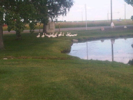 Mountain View Funeral Home & Cemetery