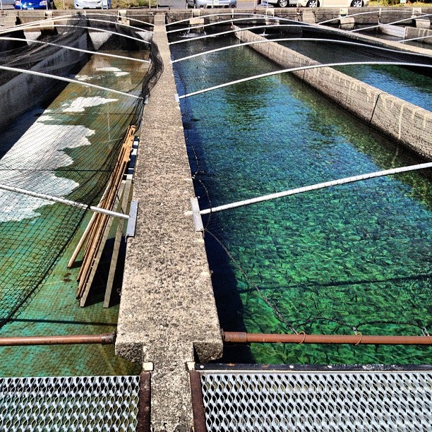 North Bonneville, WA Map & Directions MapQuest