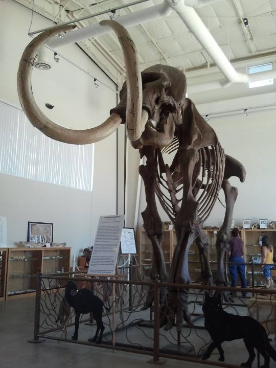 Firebaugh, CA Map & Directions MapQuest