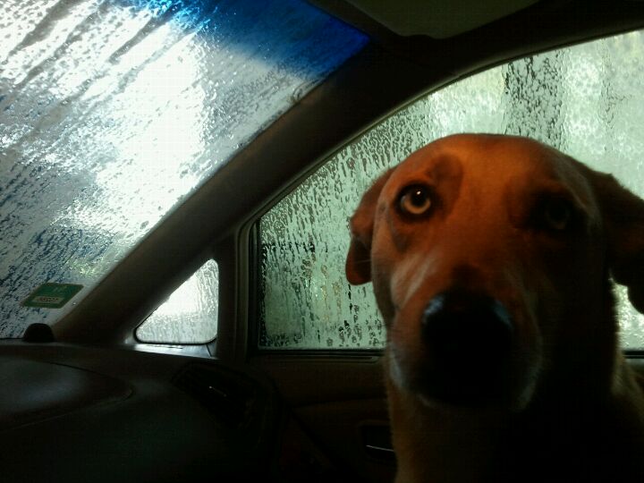 Bubbles Express, 15232 Wallisville Rd, Houston, TX MapQuest