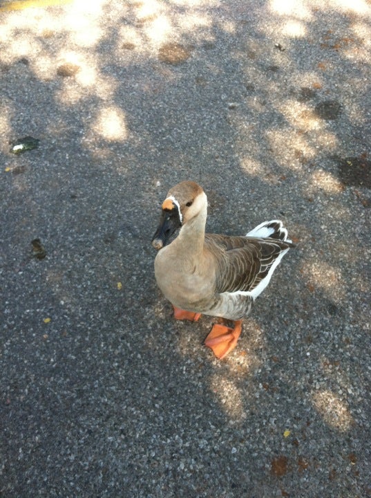Harrah Walking Park, Church Ave, Harrah, OK, Parks MapQuest