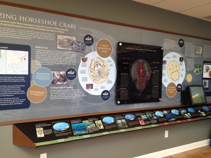 Slaughter Beach, DE Map & Directions MapQuest