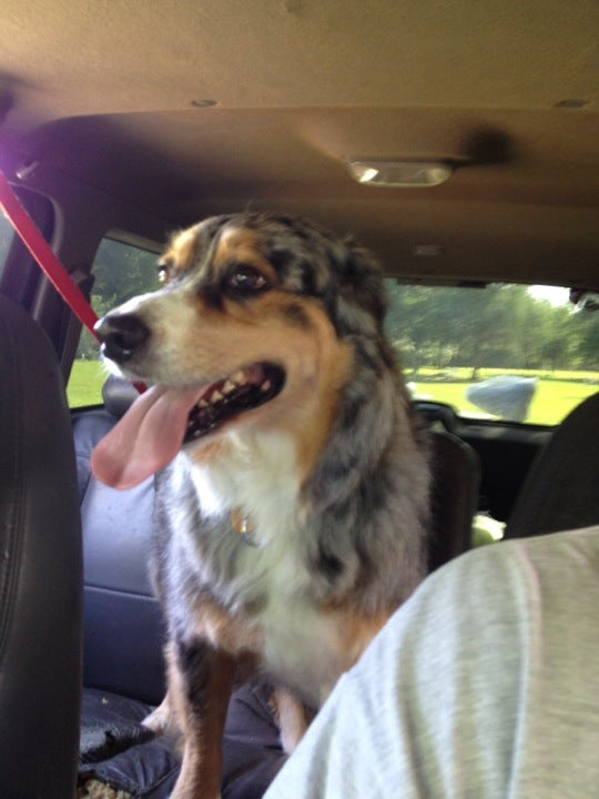 Zellwood UMC Conquest Cemetery, Yothers Rd, Apopka, FL MapQuest