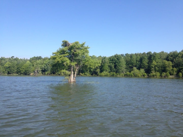 Pineville, SC Map & Directions MapQuest