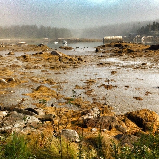 Dyer Island, Dyers Island Rd, Vinalhaven, ME MapQuest