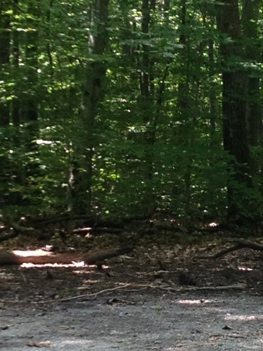 Camp Ramsbottom, 205 Winthrop St, Rehoboth, MA, Campgrounds MapQuest