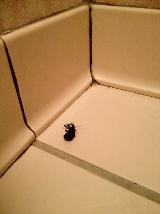 Osceola, AR Map & Directions MapQuest