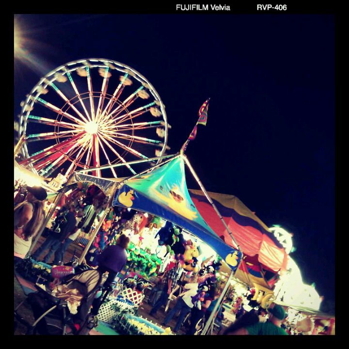 Sarasota County Fair, 3000 Ringling Blvd, Sarasota, FL, Sports