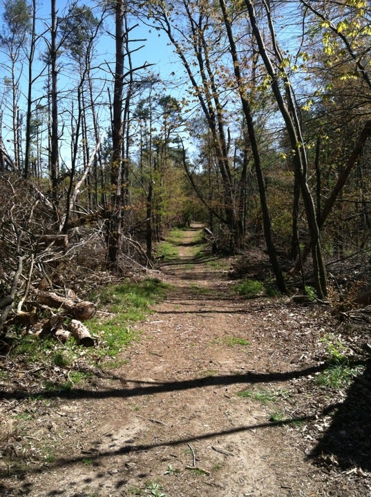 Bellevue, MI Map & Directions MapQuest