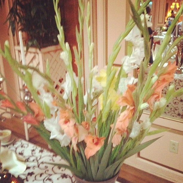 The Orangery, 5412 Kingston Pike, Knoxville, TN MapQuest