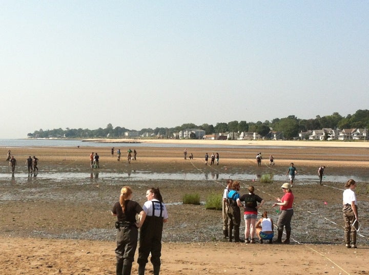 Bradley Point Beach, 1099 Ocean Ave, West Haven, CT, Beach - MapQuest