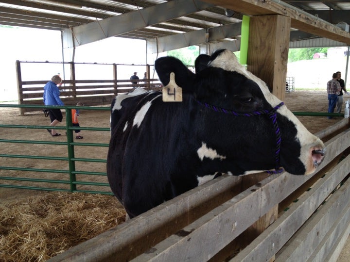 Pike County Fair and Fairgrounds, 311 Mill St, Piketon, OH MapQuest