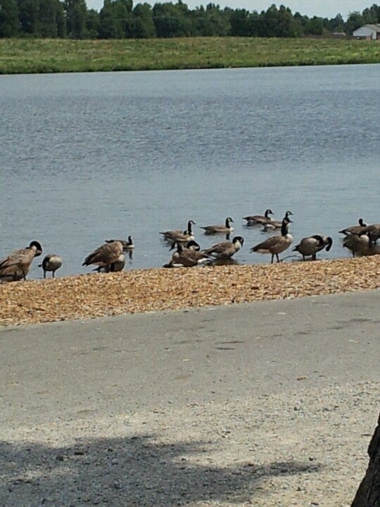 Paragould, AR Map & Directions MapQuest