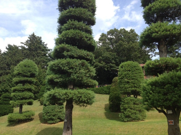 Walter Hunnewell Arboretum, Wellesley, MA, Gardens MapQuest