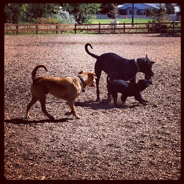 Fossil Creek Dog Park, Fort Collins, CO, Parks MapQuest