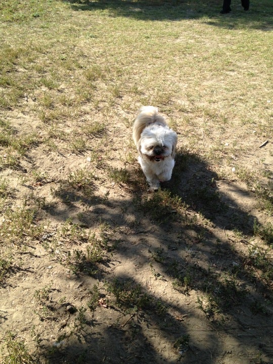 Stanley, ND Map & Directions MapQuest