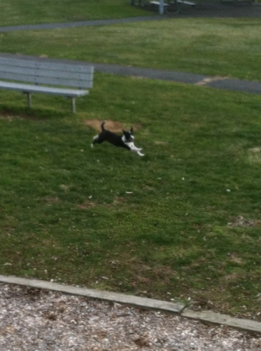 Bicentennial Park, Liberto Ln, East Allen Twp, PA MapQuest