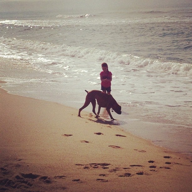 Quansoo Beach, Quansoo Rd, Chilmark, Town of, MA MapQuest