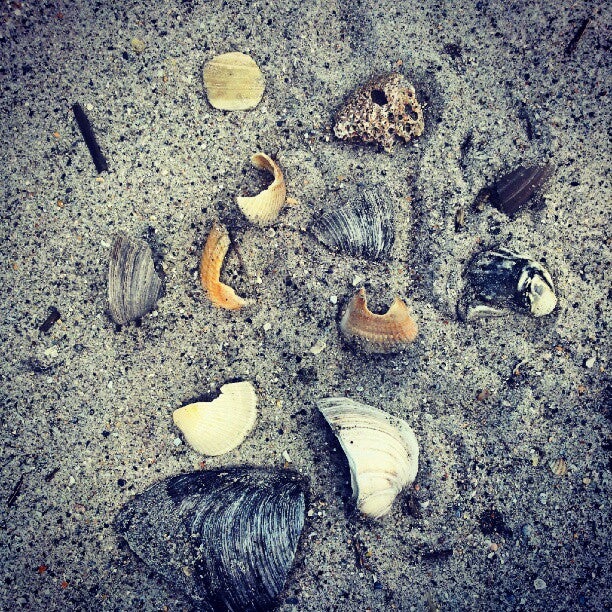 Wrightsville Beach Access 12, Sandpiper Street, Wrightsville Beach, NC