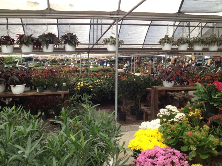 TLC Nursery Greenhouses 105 W Memorial Rd Oklahoma City OK TLC Nursery Greenhouses 105 W Memorial Rd Oklahoma City OK
