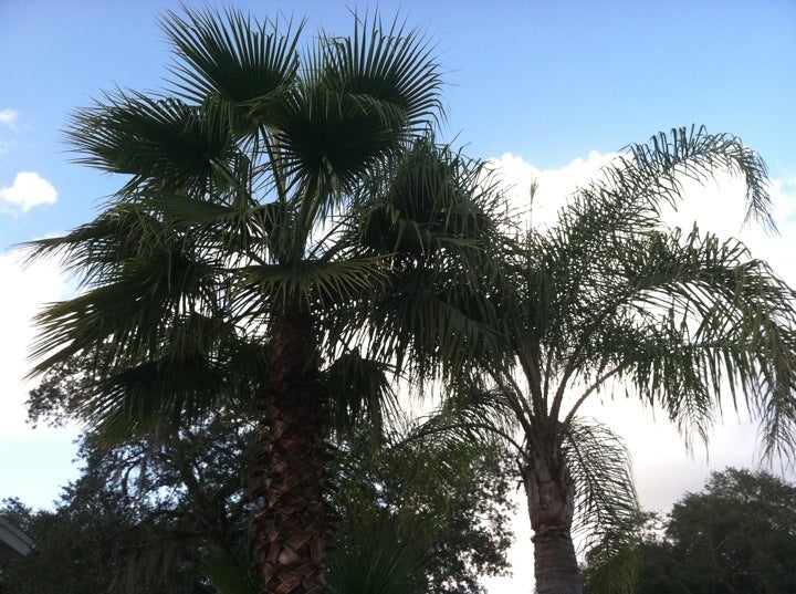 Saddlebag Lake Resort Association, 499 Saddle Bag Rd, Lake Wales, FL