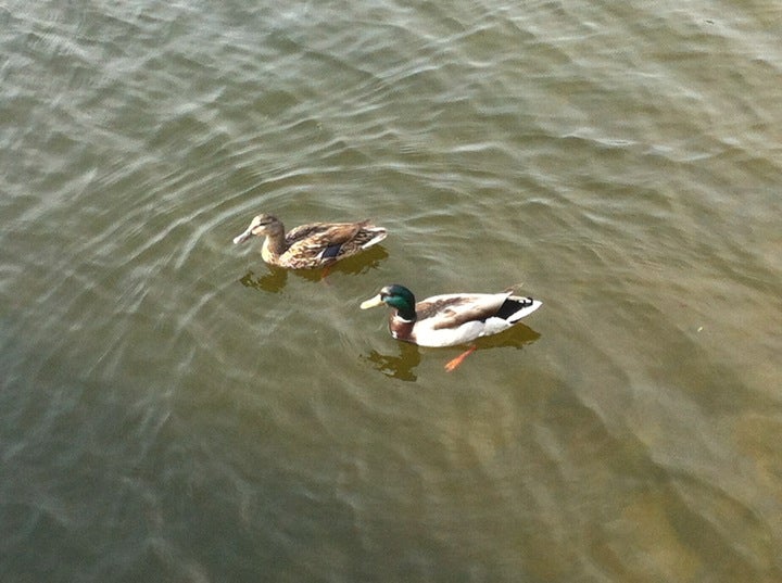 The Club at Porto Cima, Sunrise Beach, MO MapQuest