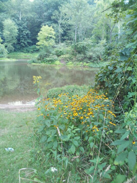 Rockhill Furnace, PA Map & Directions MapQuest