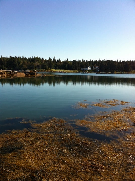 Dyer Island, Dyers Island Rd, Vinalhaven, ME MapQuest
