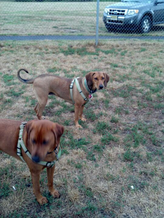 Carteret, NJ Map & Directions MapQuest