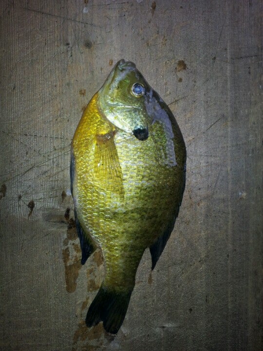 Sarona, WI Map & Directions MapQuest