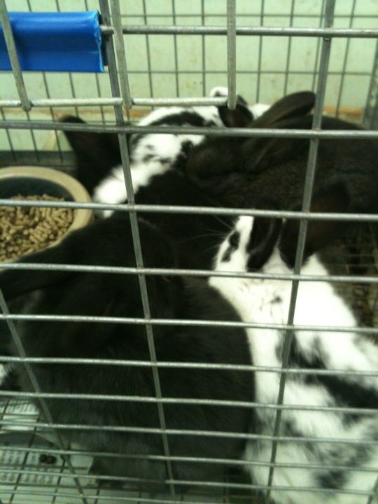 Rose Garden Center, 4005 Westbank Expy, Marrero, LA, Garden Centers