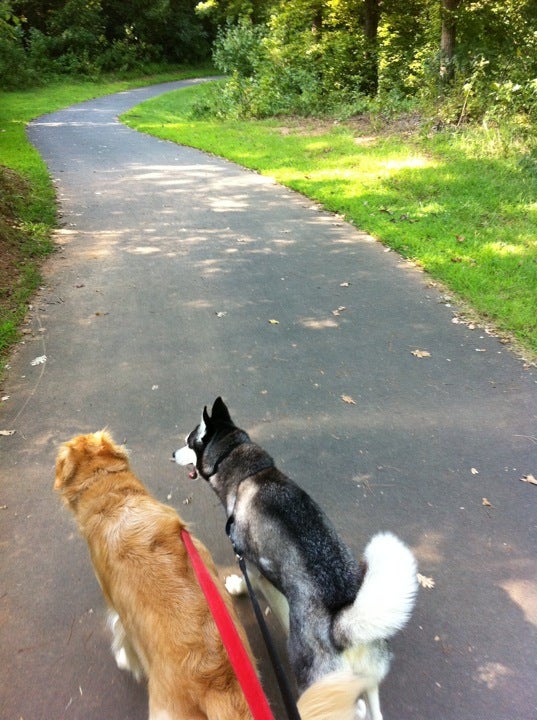 Youngsville, NC Map & Directions MapQuest