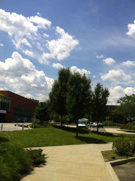Garden City Campus  Adelphi University