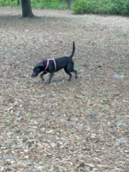 River Road Park, 6500 River Rd, Wilmington, NC MapQuest