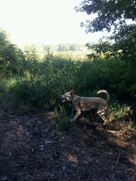 Tiedman's Pond, Park Street, Middleton, WI, Lake MapQuest