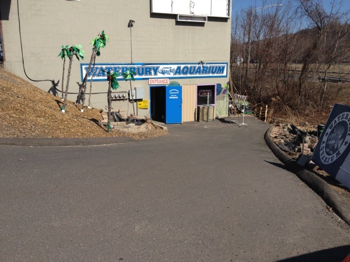 Waterbury Aquarium, 406 Watertown Ave, Waterbury, CT, Aquarium supplies