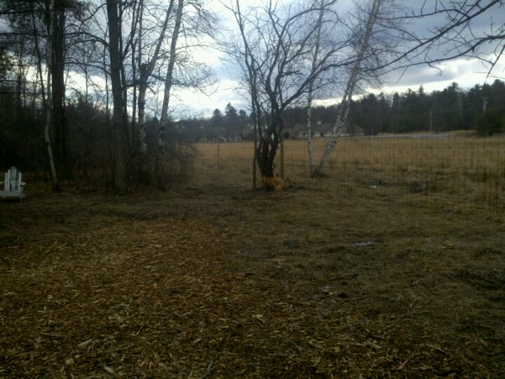 Shelburne Dog Park, Harbor Rd, Shelburne, Town of, VT, Parks MapQuest