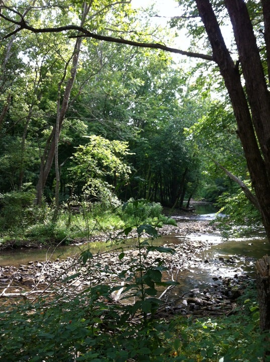 Cedarville, OH Map & Directions MapQuest