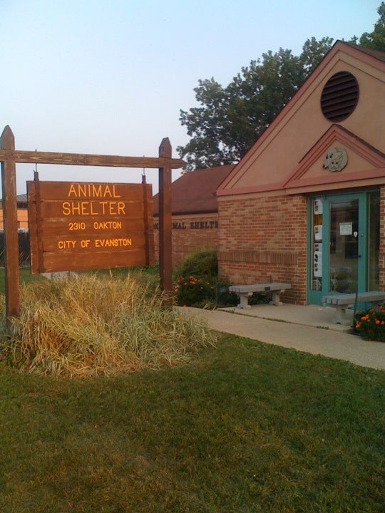 Evanston Animal Shelter, 2310 Oakton St, Evanston, IL, Community Services -  MapQuest