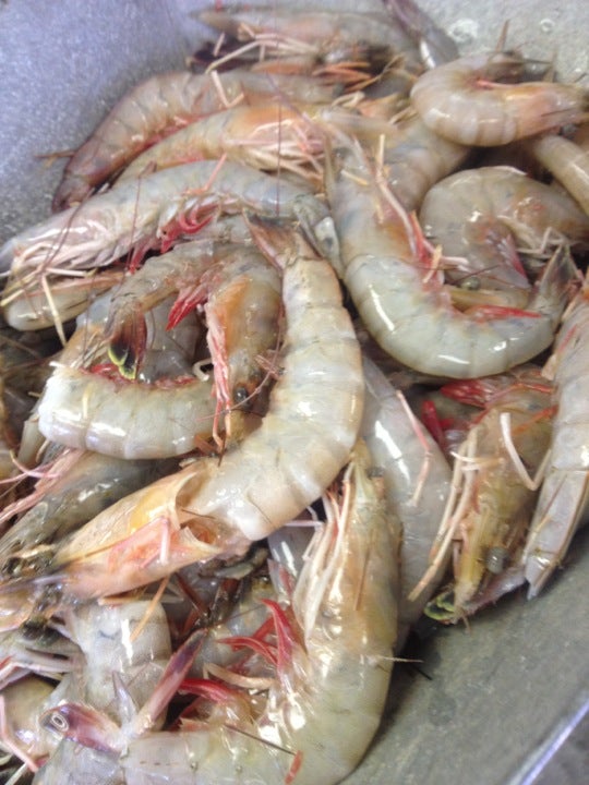 David Drive Seafood, 2901 David Dr, Metairie, LA, Seafood Markets